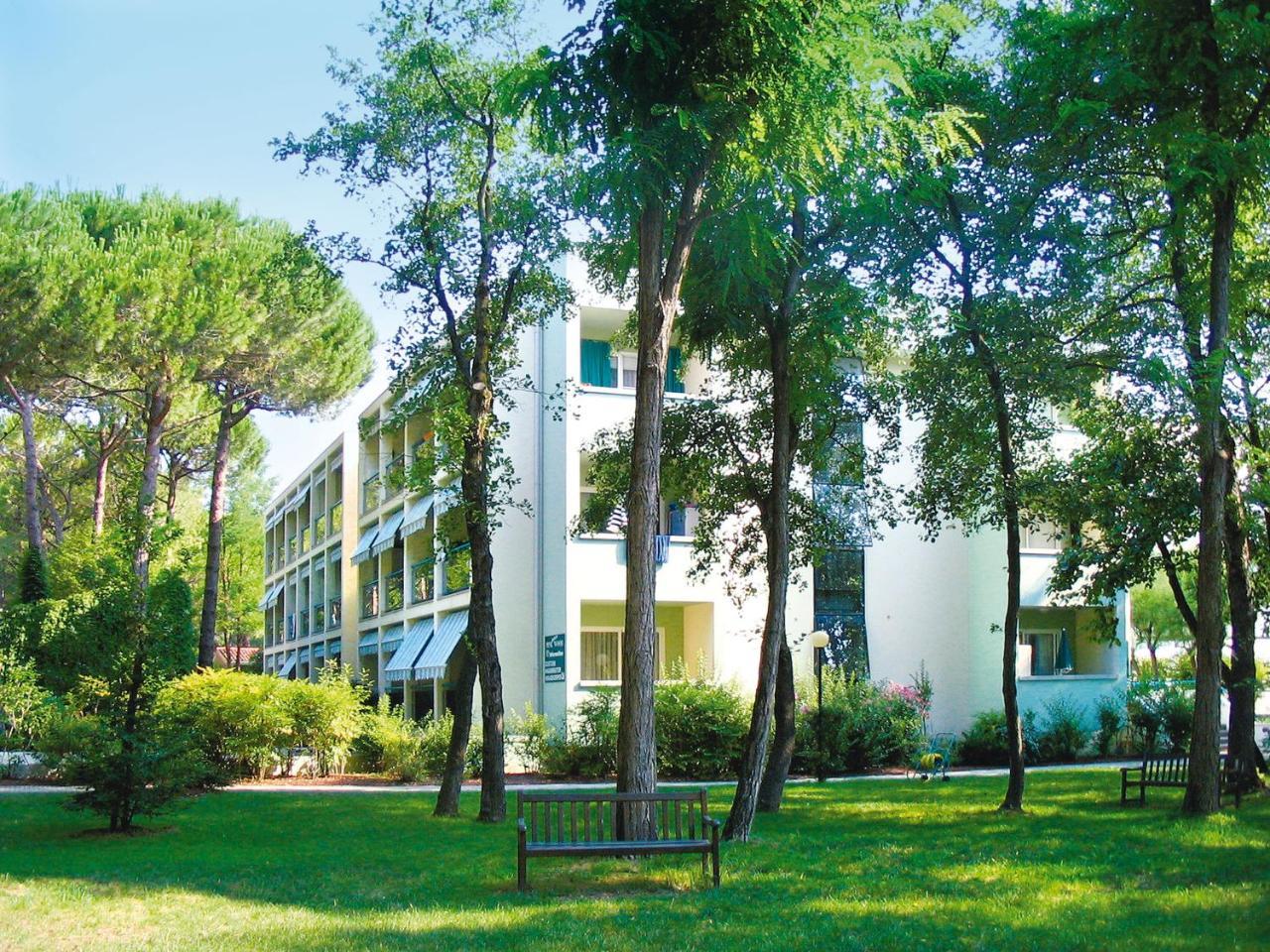 Pinewood *